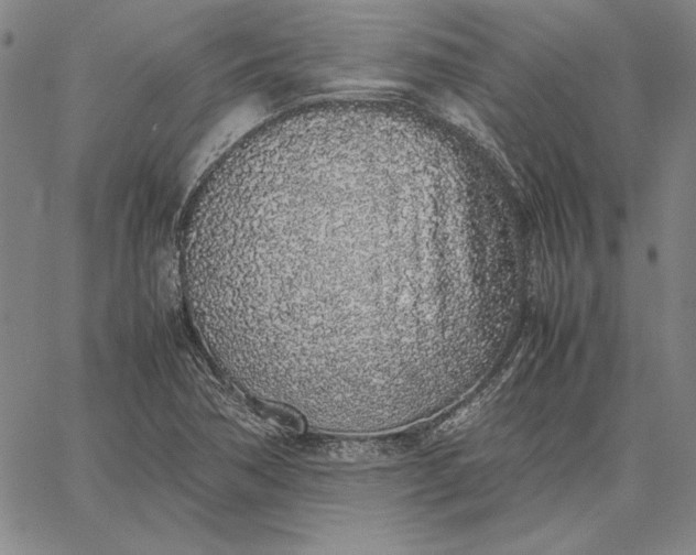 X0000067341362200604131715