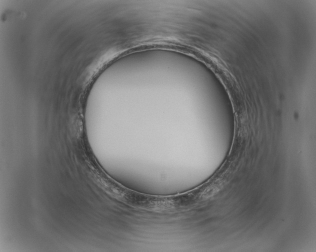 X0000067341363200604131715