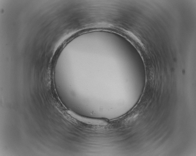 X0000067341364200604131715