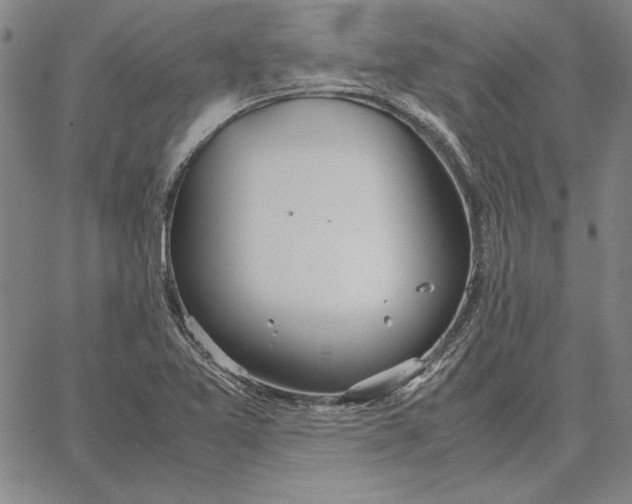 X0000067341365200604131715