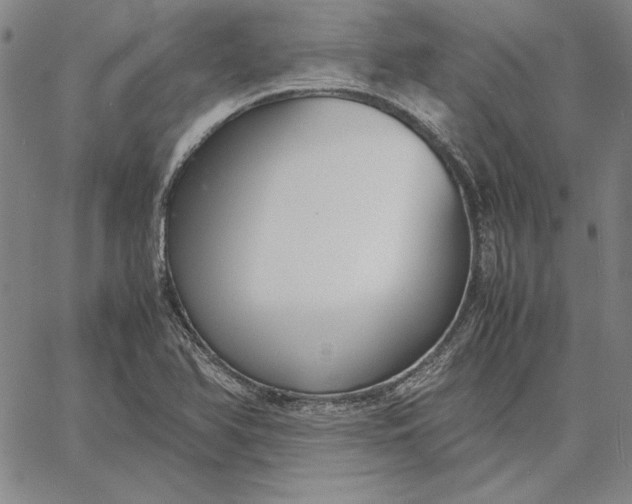 X0000067341366200604131715