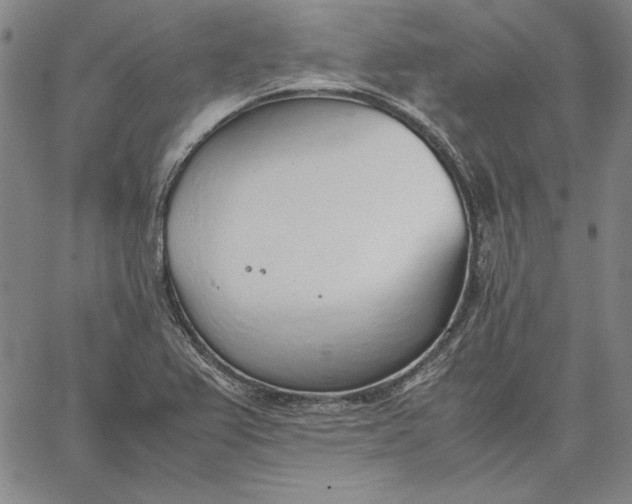 X0000067341367200604131715