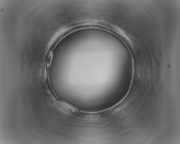 X0000067341368200604131715