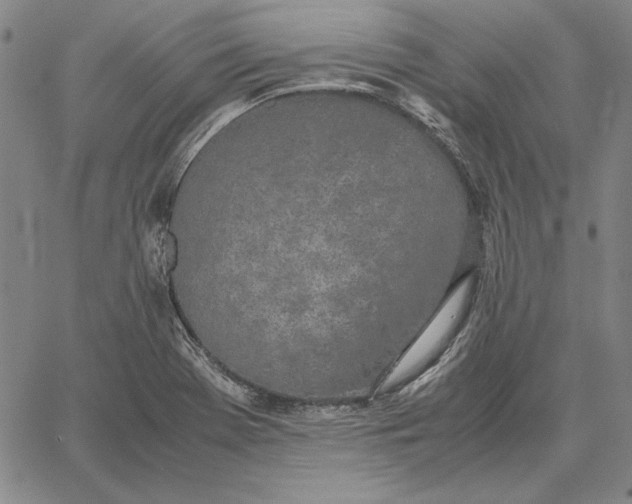 X0000067341369200604131715