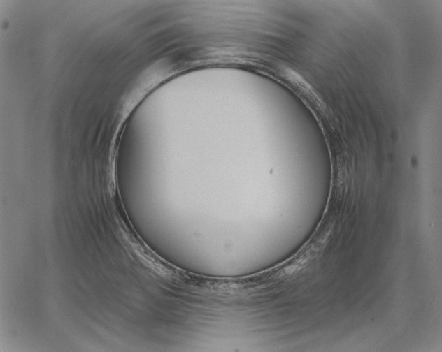 X0000067341370200604131715