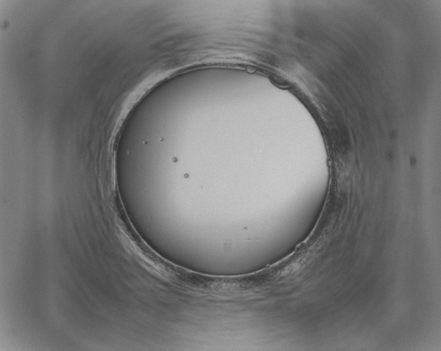 X0000067341371200604131715