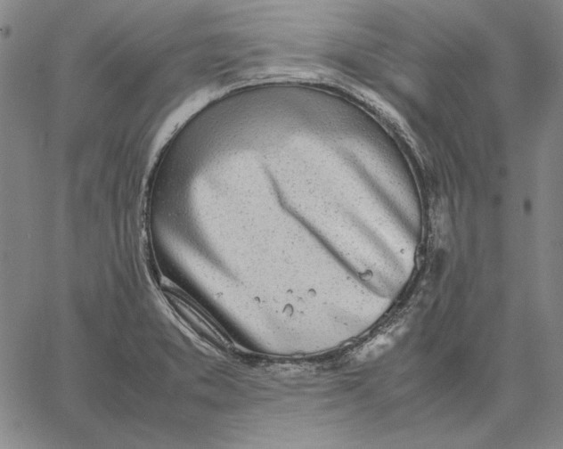 X0000067341373200604131715