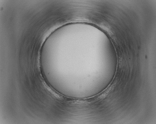 X0000067341374200604131715