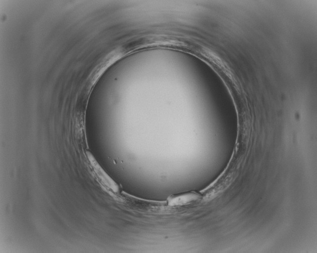 X0000067341377200604131715