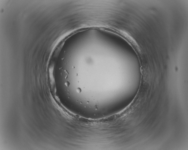 X0000067341380200604131715