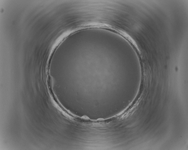 X0000067341381200604131715