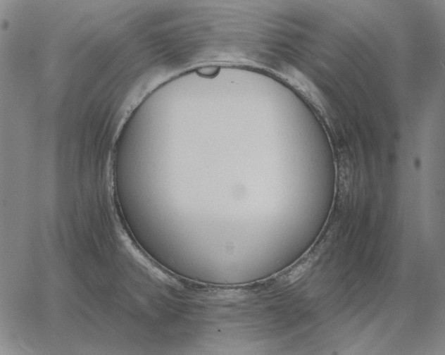 X0000067341382200604131715