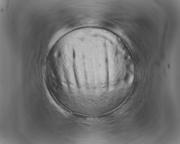 X0000067341383200604131715