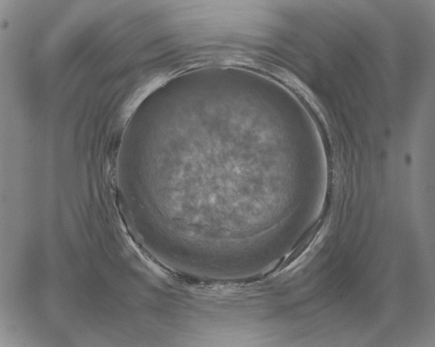 X0000067341385200604131715