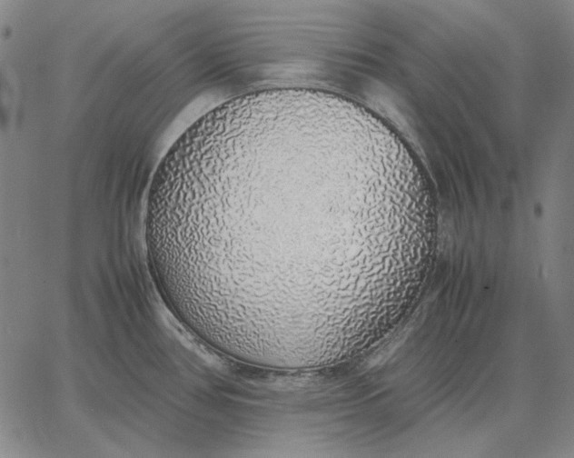 X0000067341386200604131715