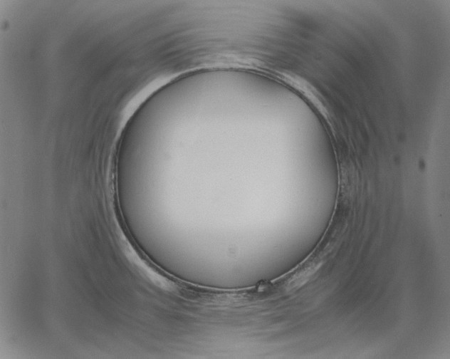 X0000067341387200604131715