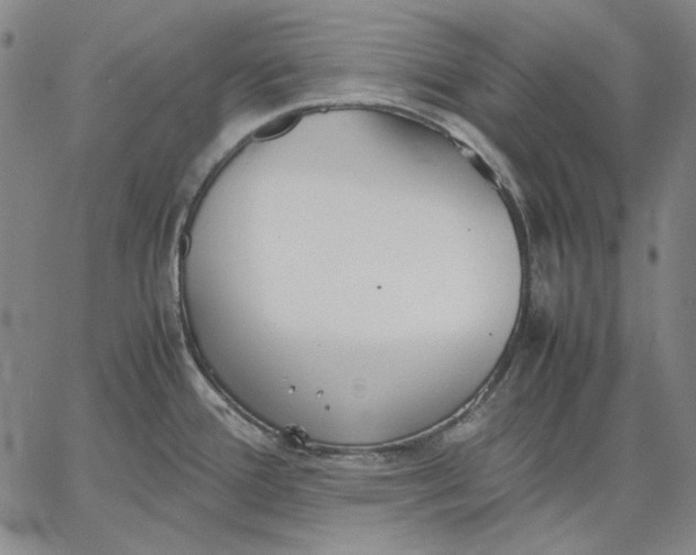 X0000067341388200604131715