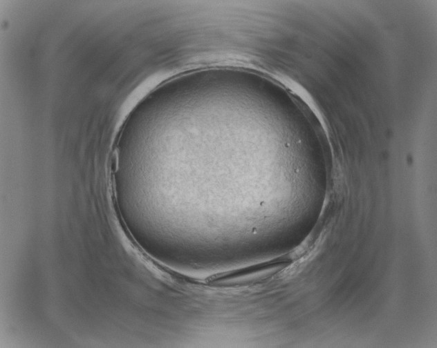 X0000067341389200604131715