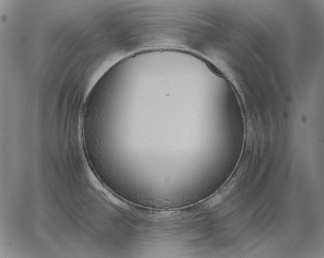 X0000067341390200604131715