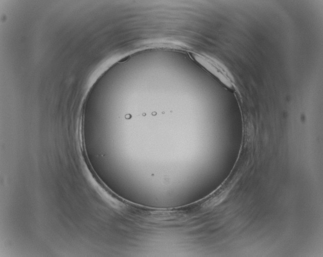 X0000067341391200604131715