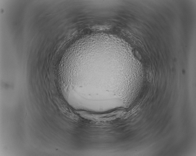 X0000067341393200604131714