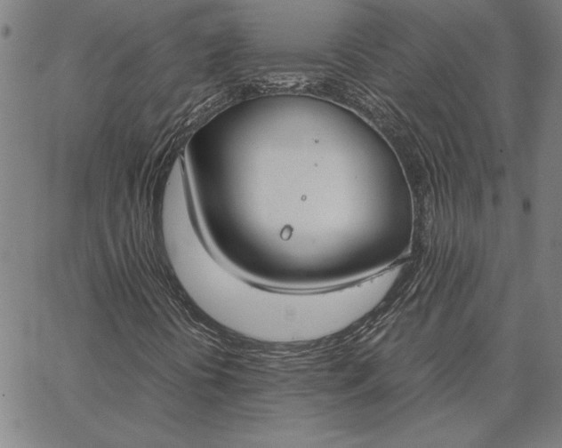 X0000067341394200604131714