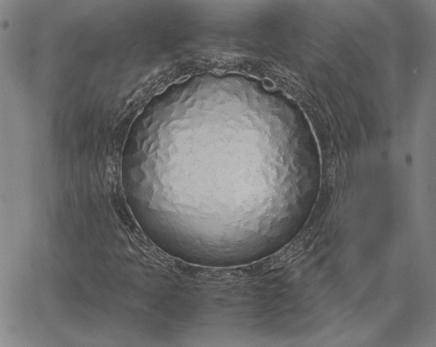 X0000067341397200604131714