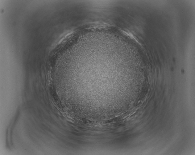 X0000067341399200604131714