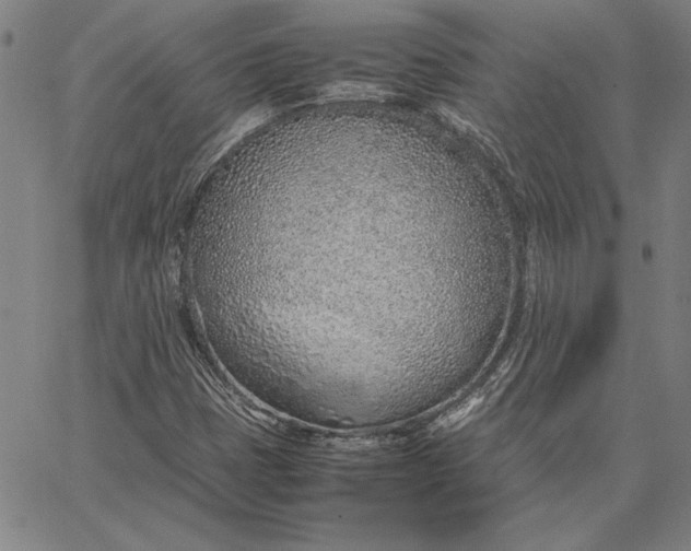 X0000067341401200604131714