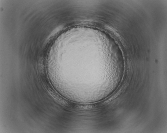 X0000067341403200604131714