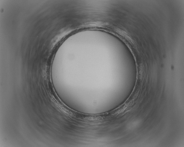 X0000067341404200604131714