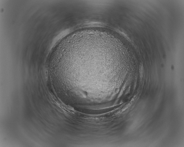 X0000067341405200604131714