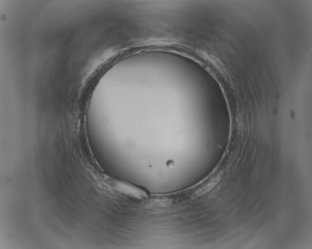 X0000067341406200604131714