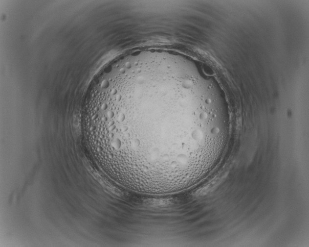 X0000067341409200604131714