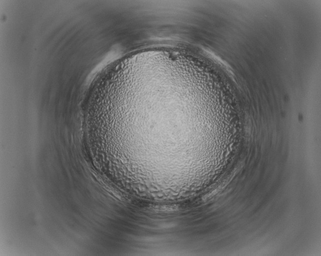 X0000067341411200604131714