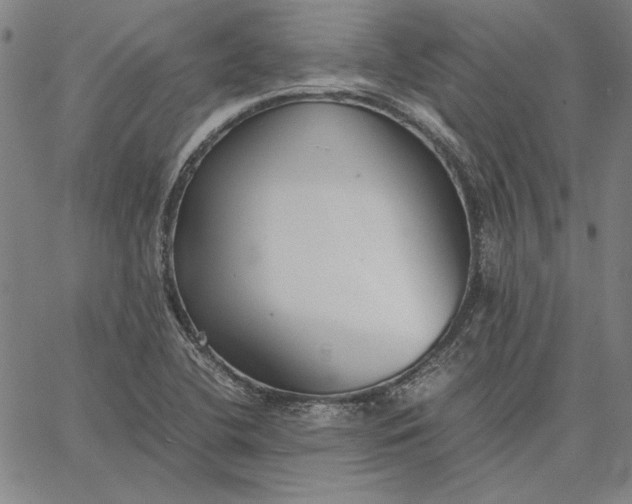 X0000067341412200604131714