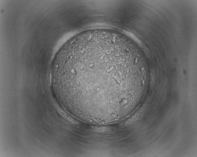 X0000067341413200604131714