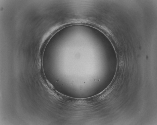 X0000067341414200604131714