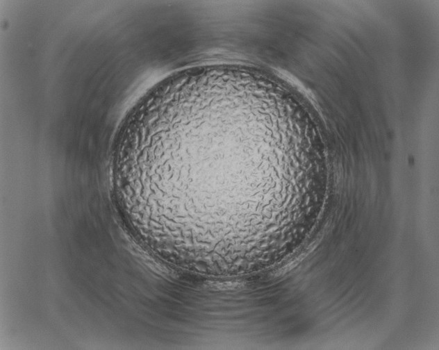 X0000067341415200604131714