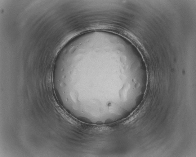 X0000067341417200604131714