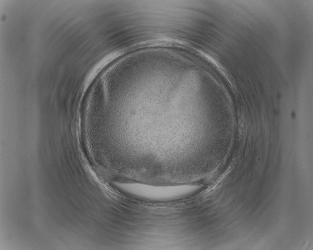 X0000067341418200604131714