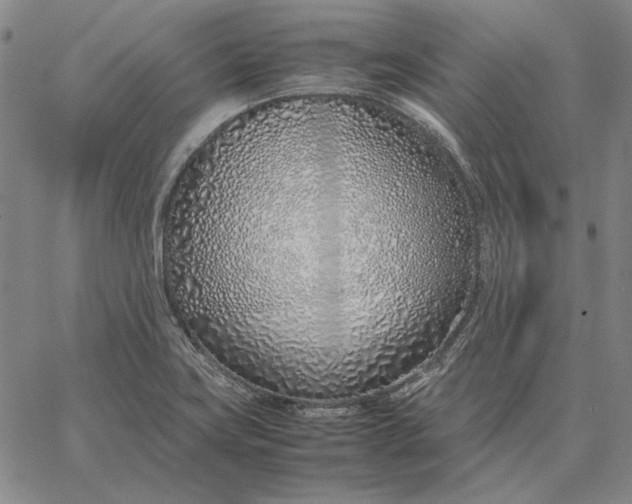 X0000067341419200604131714