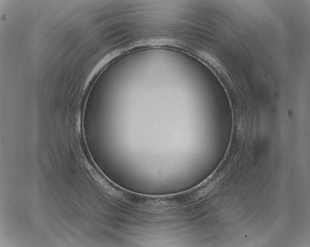 X0000067341420200604131714