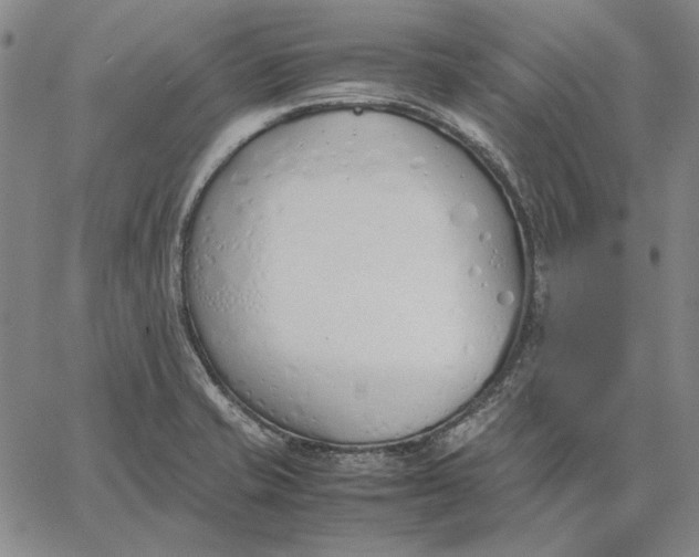 X0000067341421200604131714