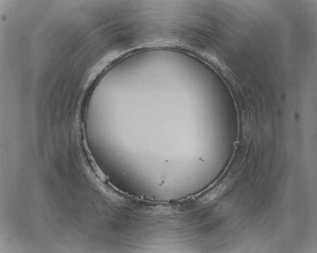 X0000067341422200604131714