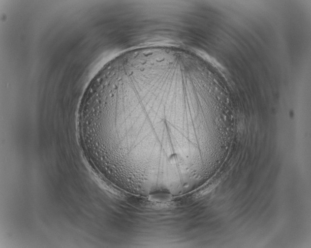 X0000067341423200604131714