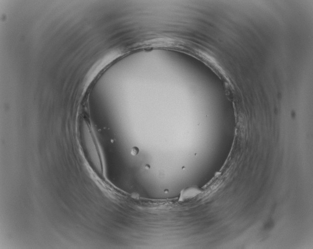 X0000067341426200604131714