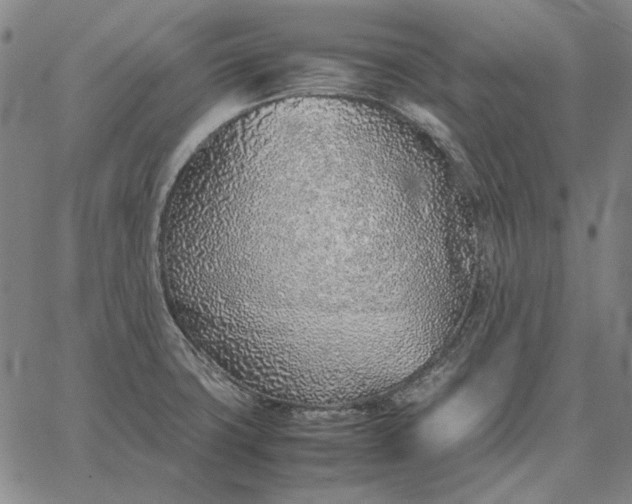 X0000067341427200604131714