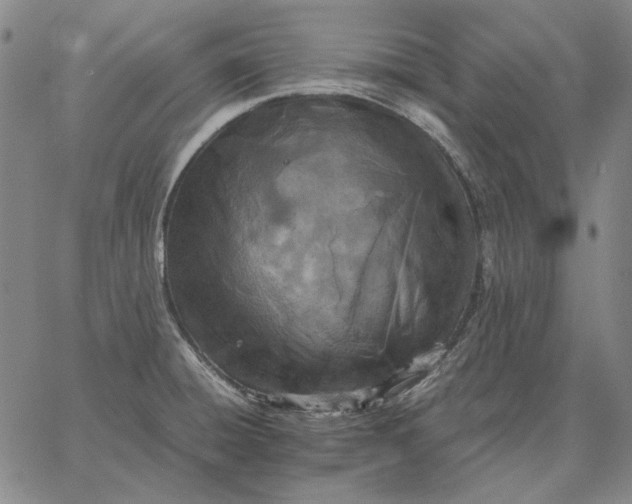 X0000067341428200604131714