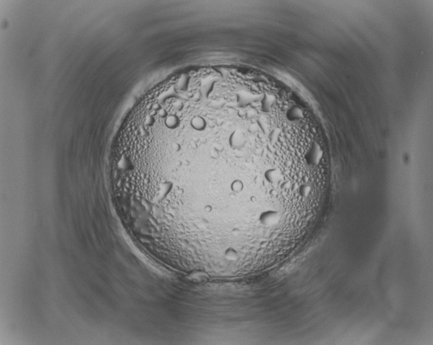 X0000067341429200604131714